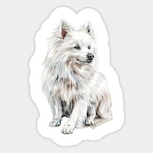 American Eskimo Dog Sticker